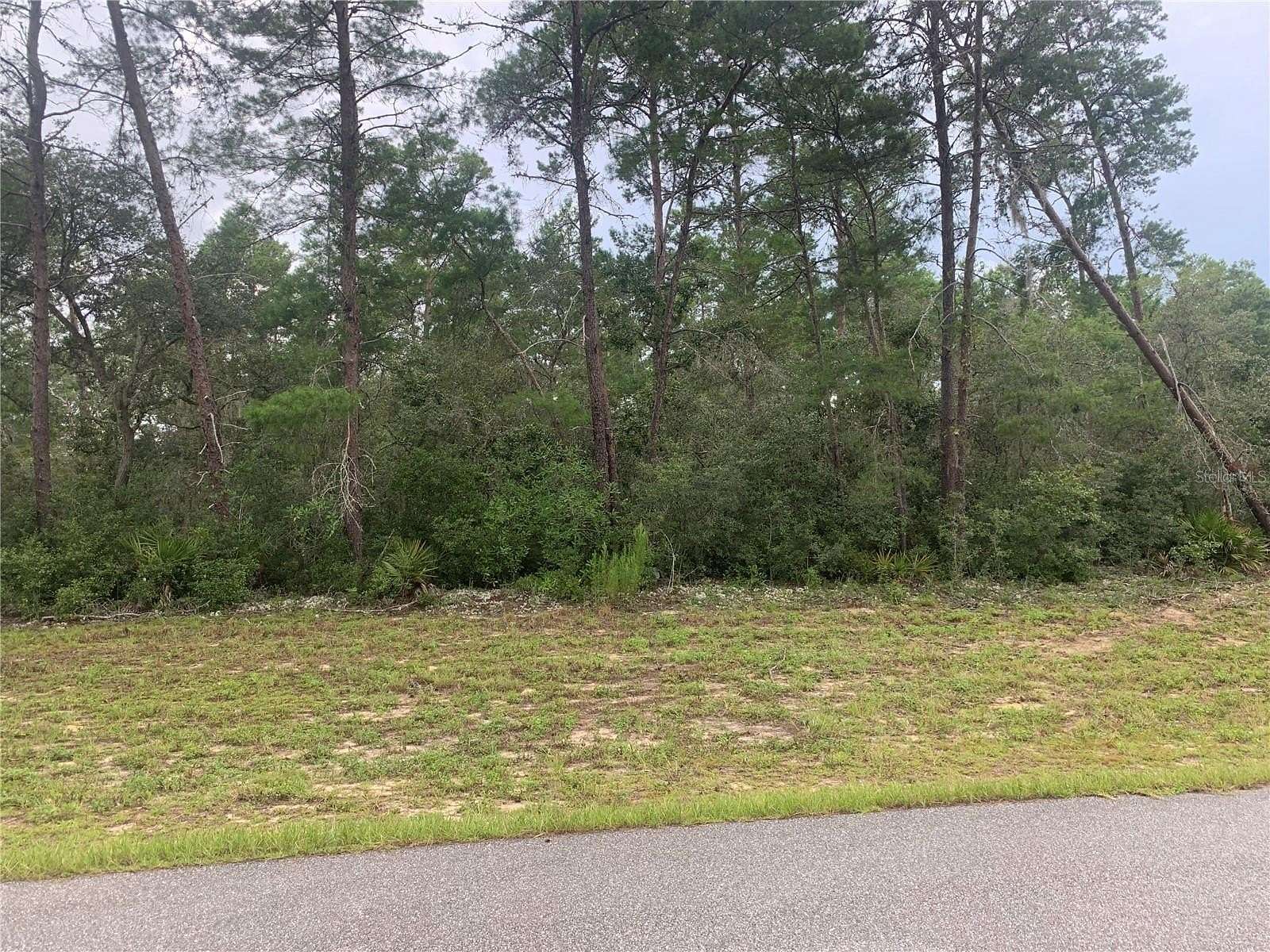 0.29 Acres of Residential Land for Sale in Ocala, Florida