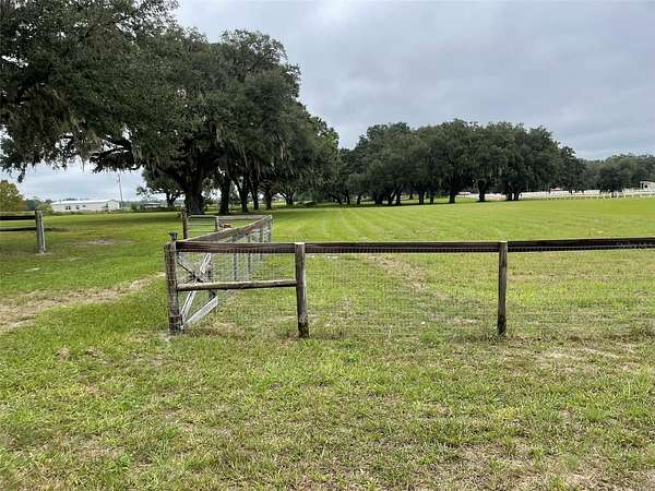 10 Acres of Recreational Land for Sale in Williston, Florida