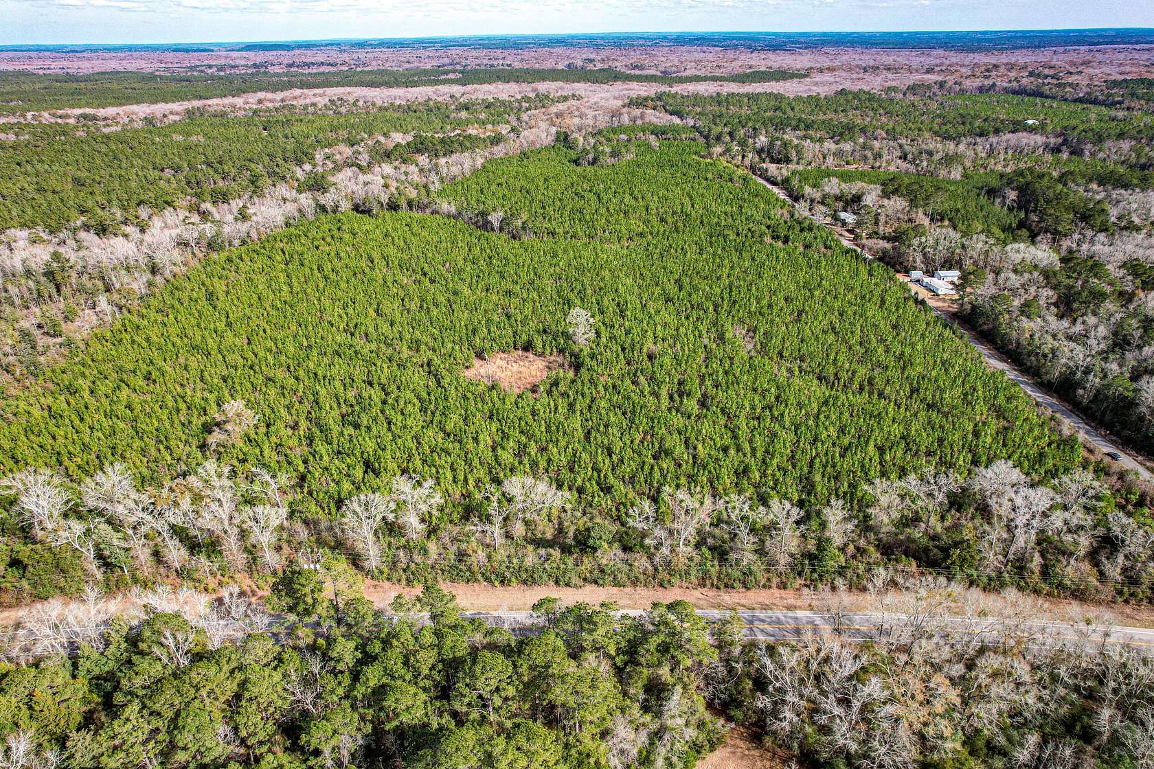 120 Acres of Land for Sale in Ponce de Leon, Florida