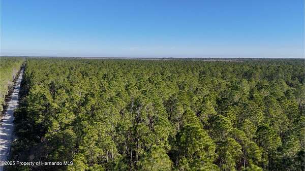 90 Acres of Recreational Land for Sale in New Smyrna Beach, Florida