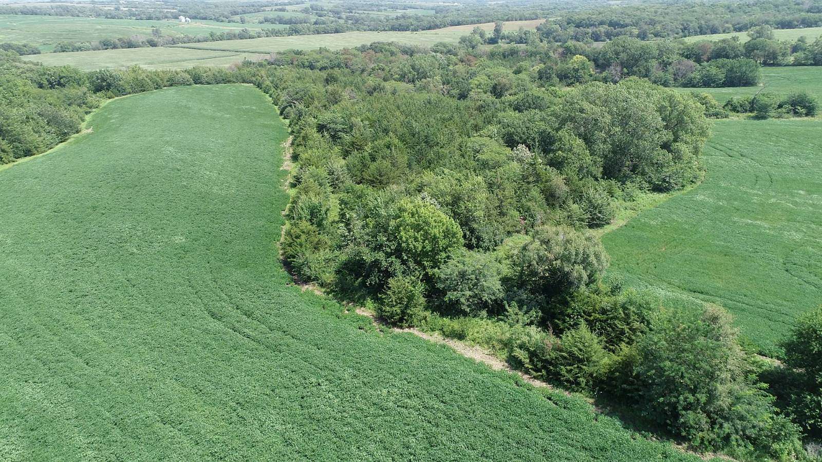 75.2 Acres of Land for Sale in Gravity, Iowa