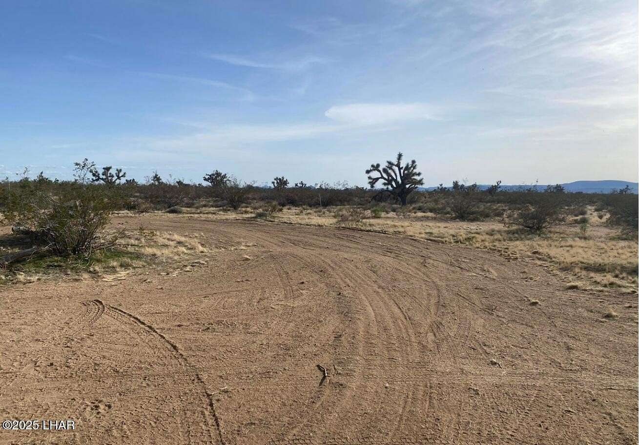 39.8 Acres of Recreational Land for Sale in Yucca, Arizona