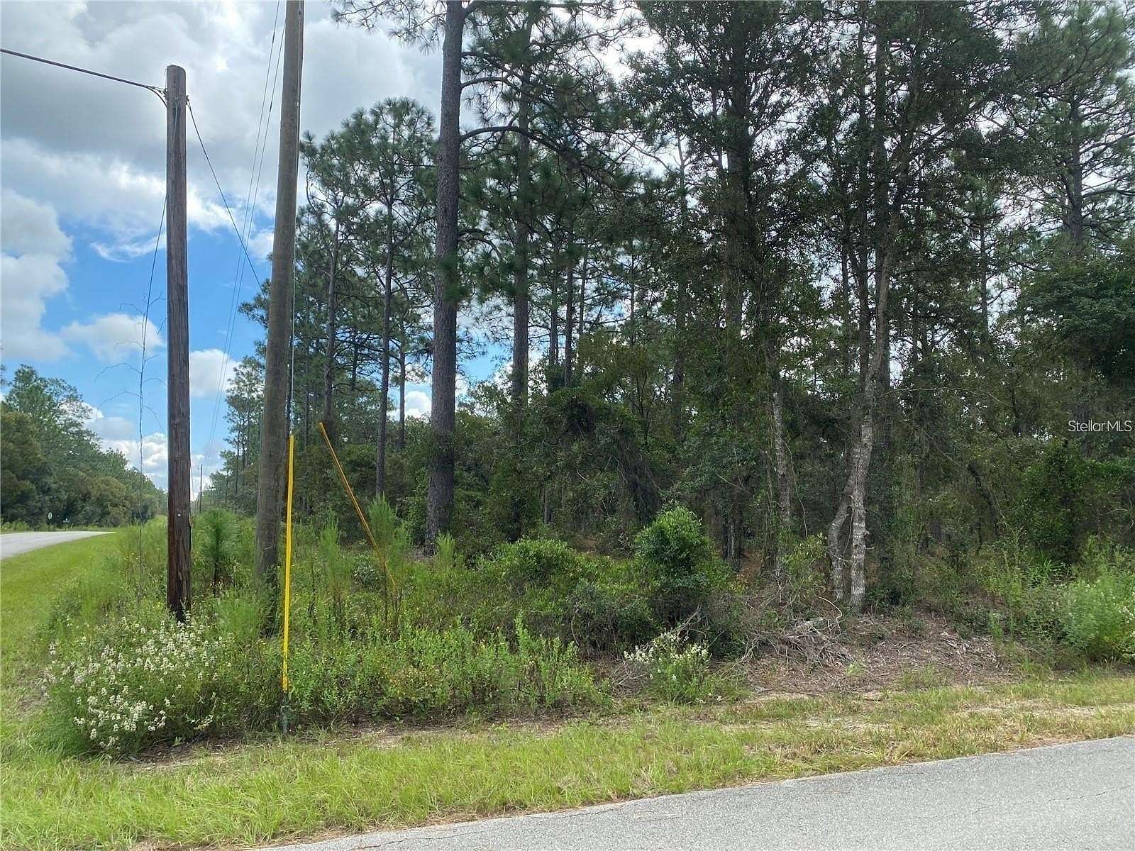 0.31 Acres of Residential Land for Sale in Dunnellon, Florida