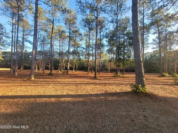 0.25 Acres of Residential Land for Sale in Ocean Isle Beach, North Carolina