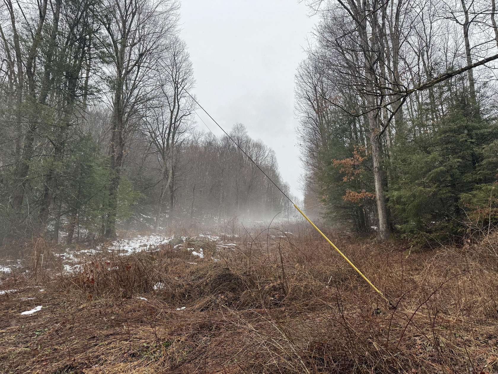 4 Acres of Land for Sale in Craigsville, West Virginia