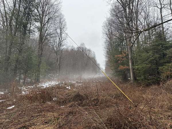 4 Acres of Land for Sale in Craigsville, West Virginia