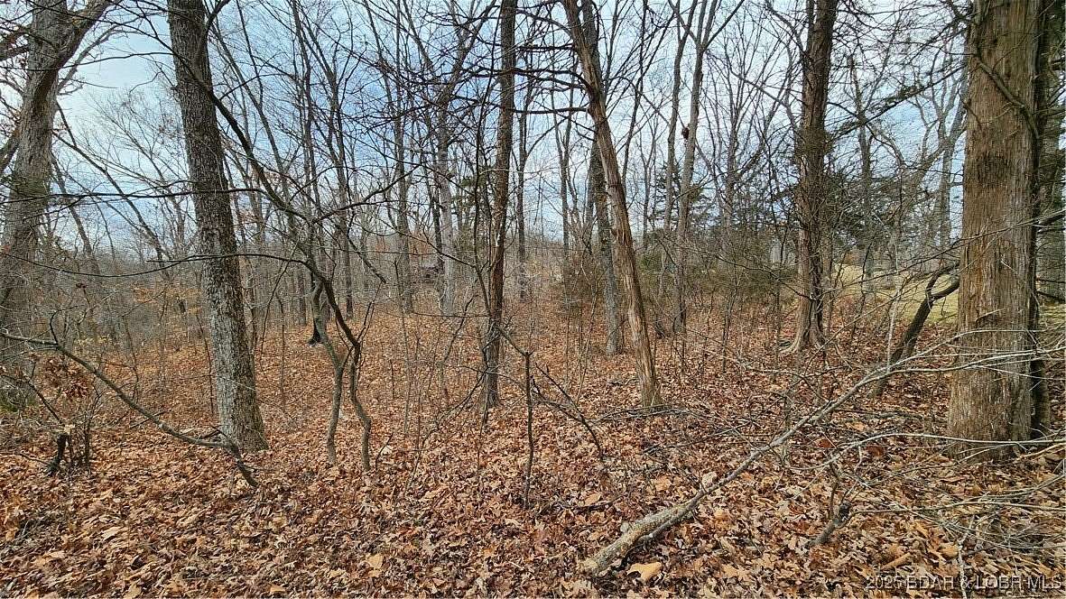 0.3 Acres of Residential Land for Sale in Lake Ozark, Missouri