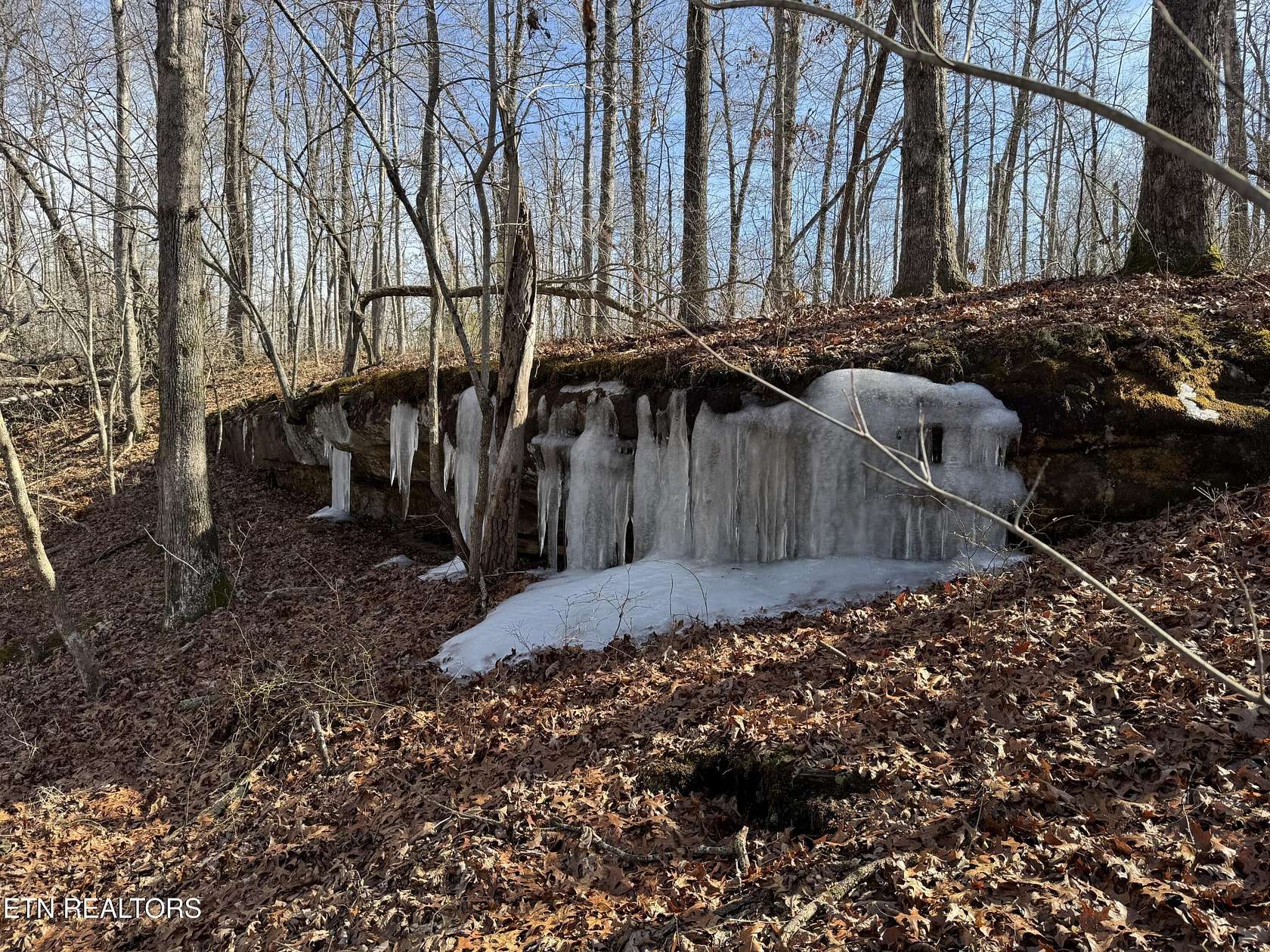 1 Acre of Residential Land for Sale in Monterey, Tennessee