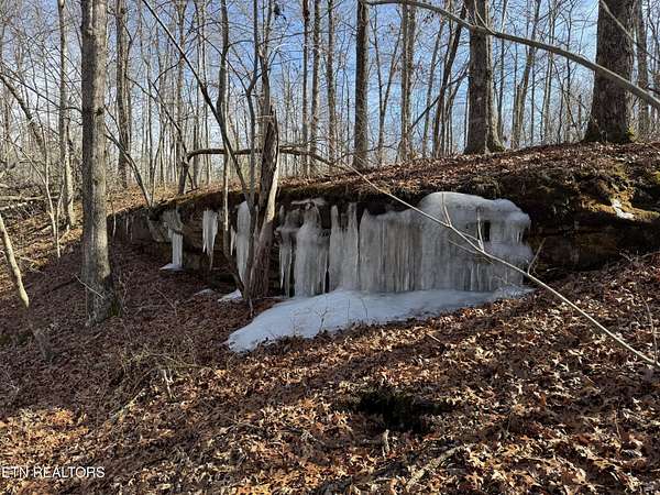 1 Acre of Residential Land for Sale in Monterey, Tennessee