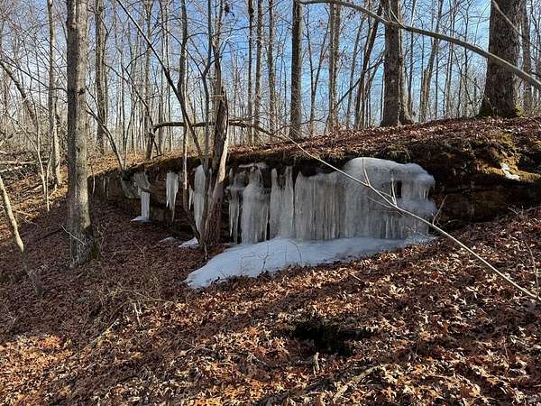 1 Acre of Land for Sale in Monterey, Tennessee