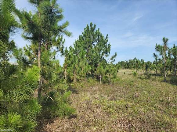 2.34 Acres of Residential Land for Sale in Naples, Florida