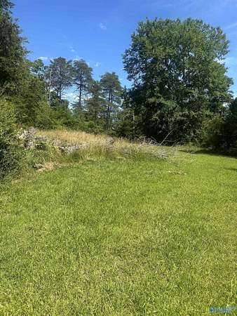 12 Acres of Land for Sale in Fort Payne, Alabama