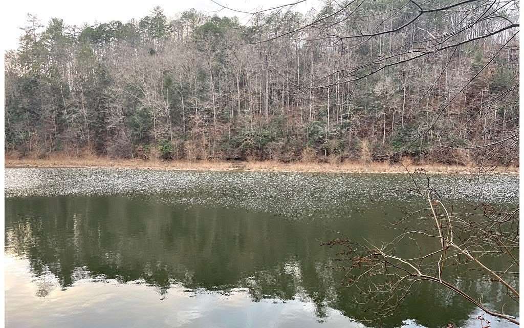 1.1 Acres of Residential Land for Sale in Ellijay, Georgia