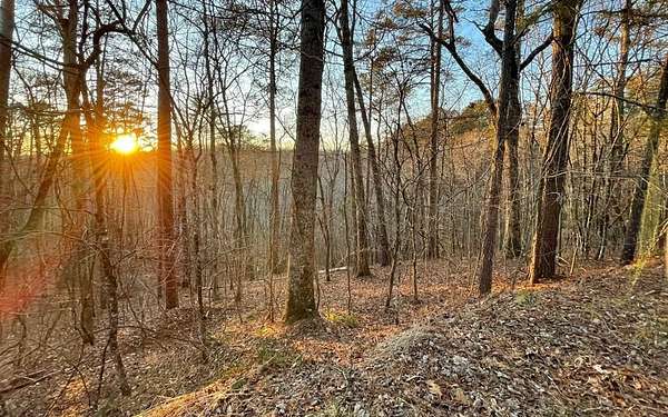 1.1 Acres of Residential Land for Sale in Ellijay, Georgia