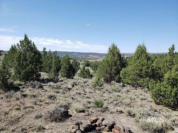 5 Acres of Recreational Land for Sale in Murphy, Idaho