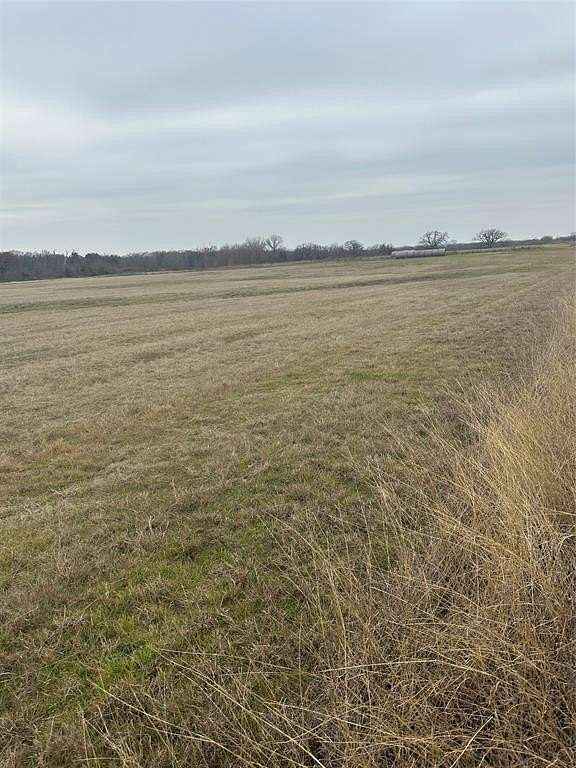 41 Acres of Agricultural Land for Sale in Decatur, Texas