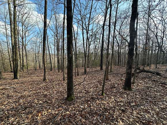 3 Acres of Land for Sale in Searcy, Arkansas