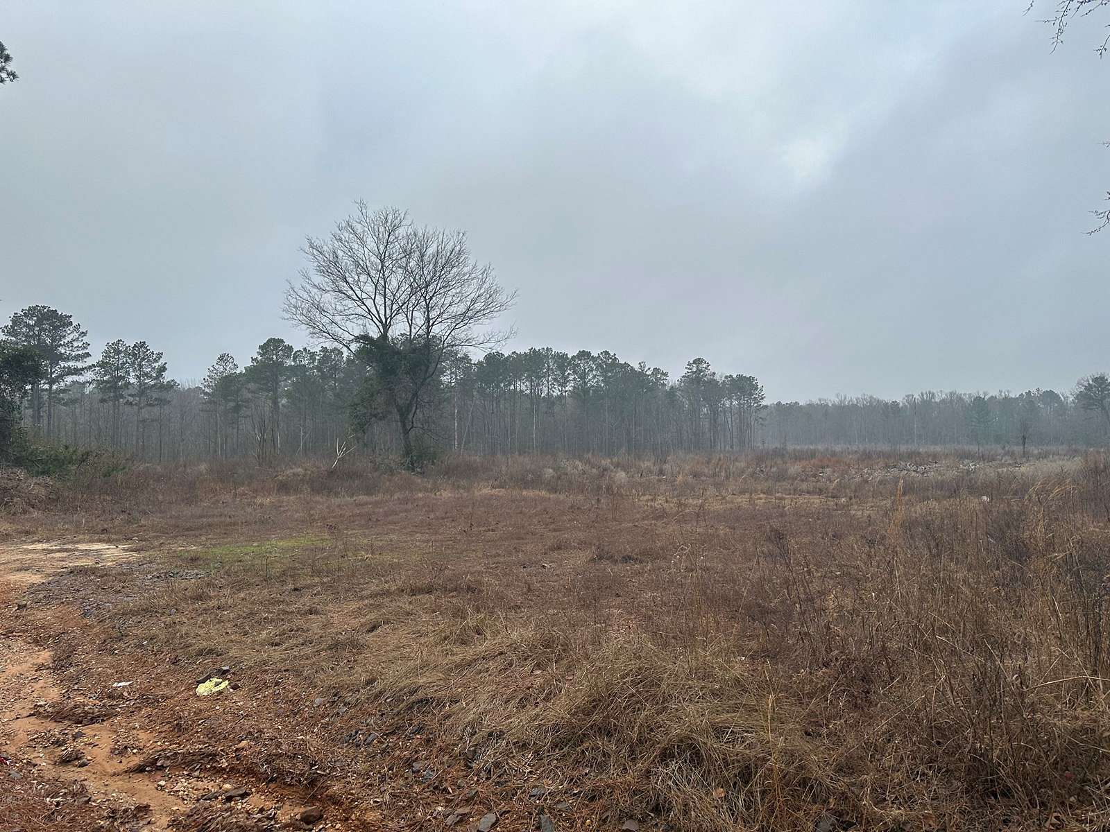 39.7 Acres of Land for Sale in Hope, Arkansas