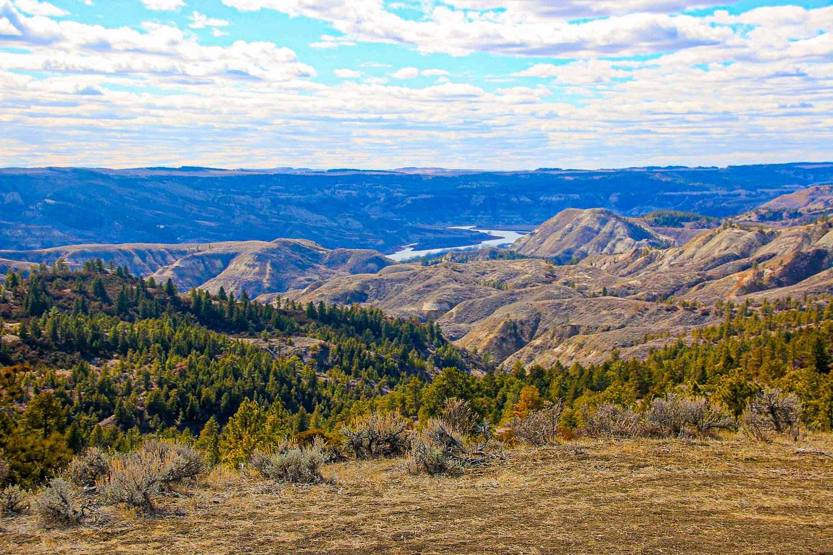 160 Acres of Land for Sale in Zortman, Montana