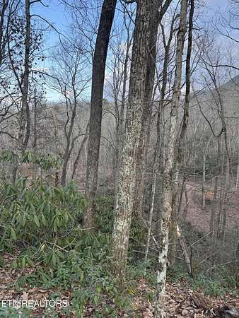 5.18 Acres of Land for Sale in Seymour, Tennessee