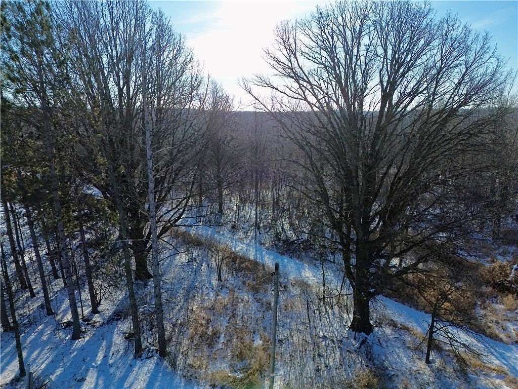 81.5 Acres of Recreational Land for Sale in Holcombe, Wisconsin