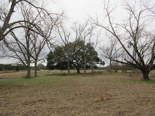 20 Acres of Land for Sale in Slocomb, Alabama