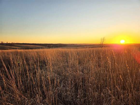 230 Acres of Agricultural Land for Auction in Nodaway Township, Iowa