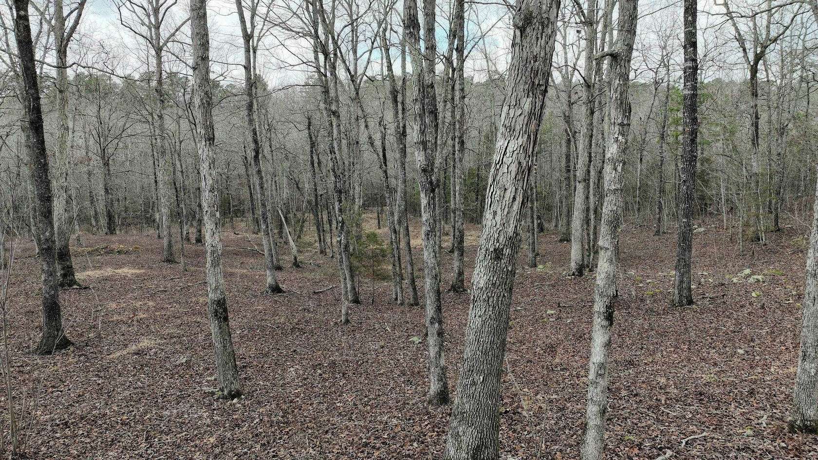 5.14 Acres of Residential Land for Sale in Mena, Arkansas