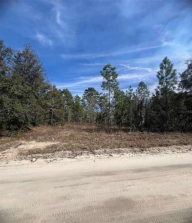 2.5 Acres of Land for Sale in Morriston, Florida