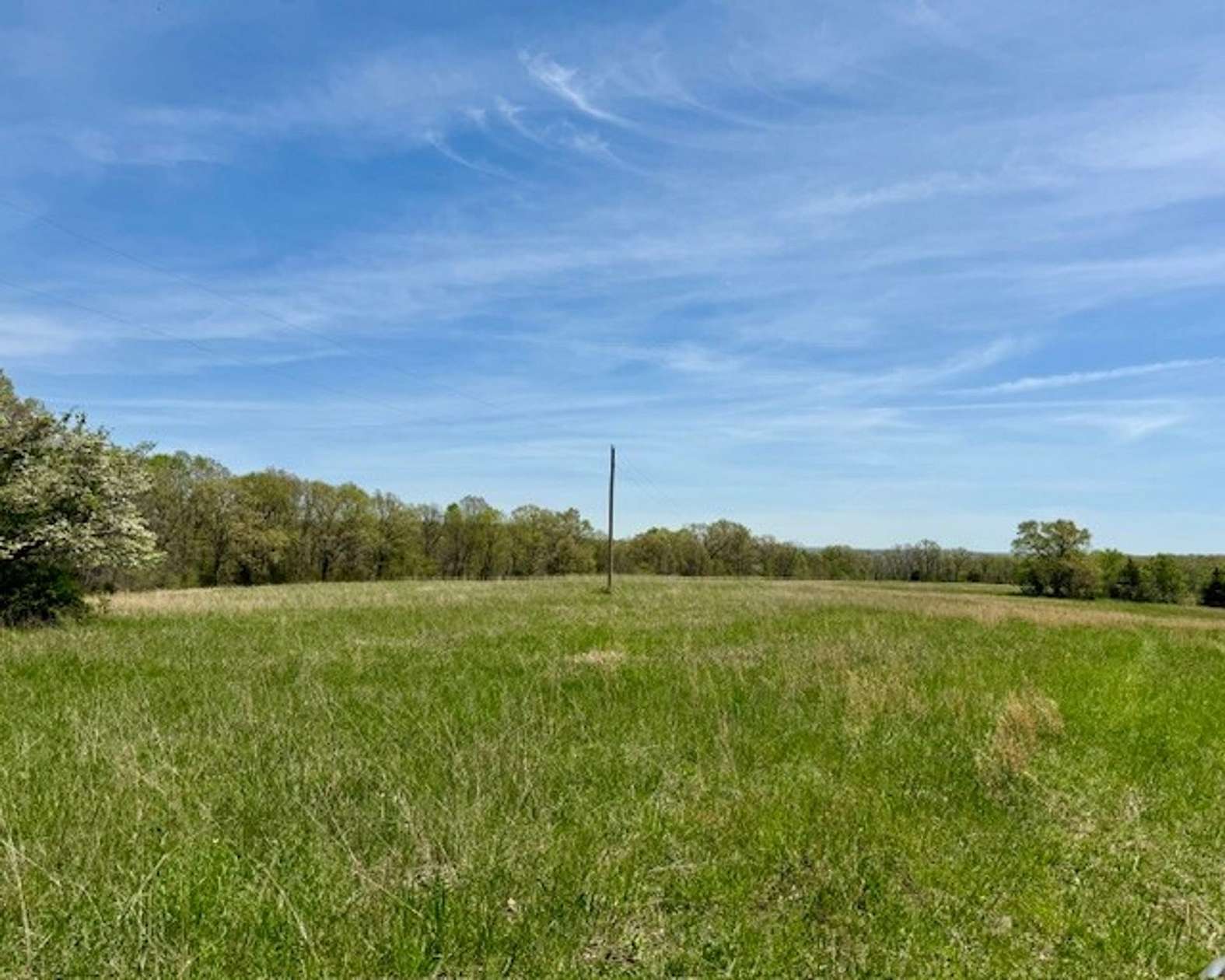 100 Acres of Recreational Land & Farm for Sale in Ava, Missouri