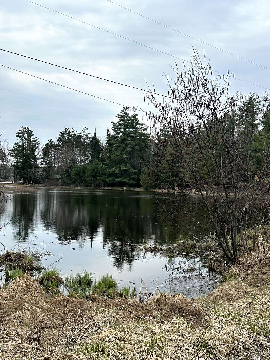 2 Acres of Land for Sale in Atlanta, Michigan