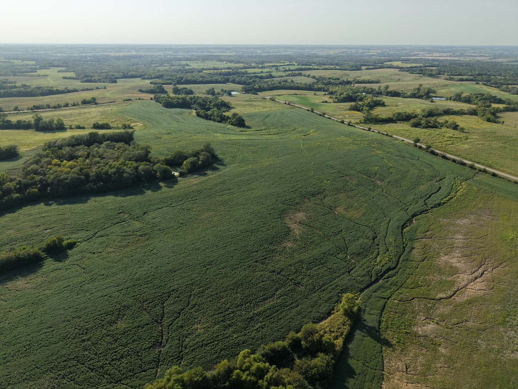 196 Acres of Land for Sale in Albany, Missouri