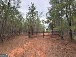 391 Acres of Recreational Land & Farm for Sale in Warrenton, Georgia