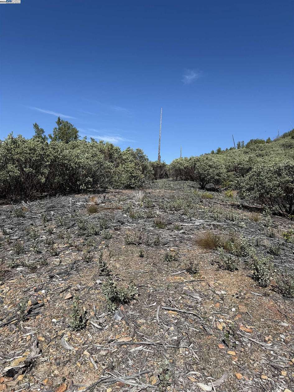 18.7 Acres of Agricultural Land for Sale in Murphys, California