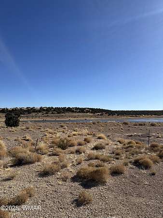0.37 Acres of Residential Land for Sale in Concho, Arizona