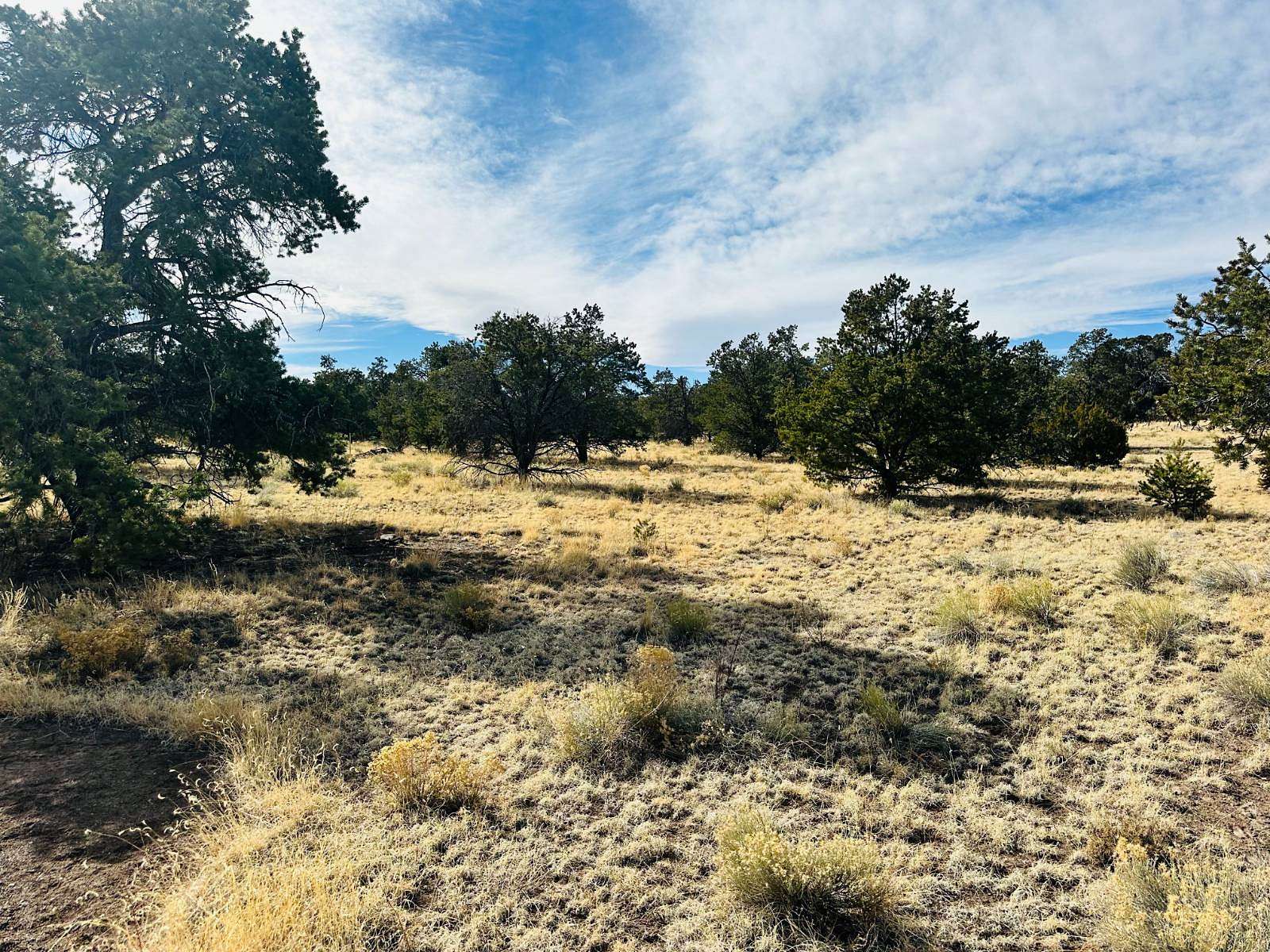 3.65 Acres of Residential Land for Sale in Quemado, New Mexico
