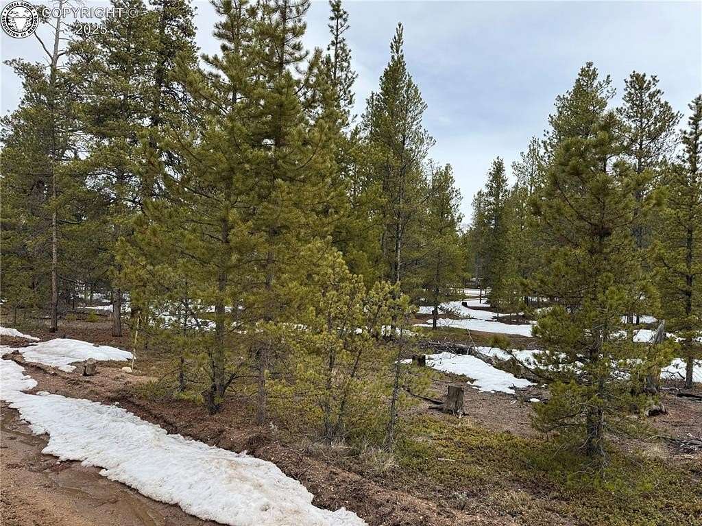 0.6 Acres of Residential Land for Sale in Twin Lakes, Colorado