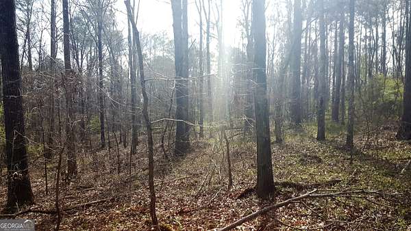 20.2 Acres of Recreational Land for Sale in Stockbridge, Georgia