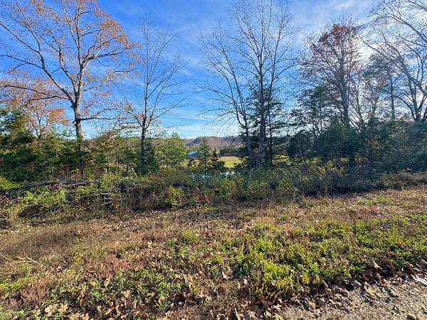 20 Acres of Recreational Land for Sale in Liberty, Kentucky