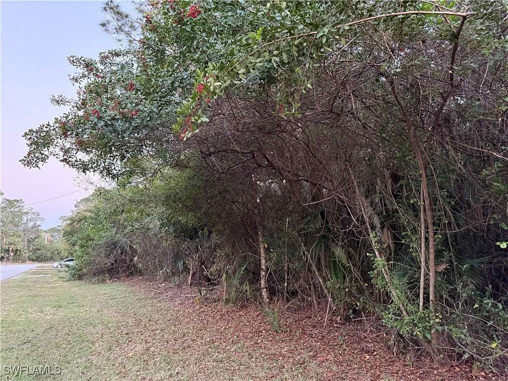 0.23 Acres of Land for Sale in LaBelle, Florida