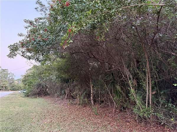0.23 Acres of Land for Sale in LaBelle, Florida