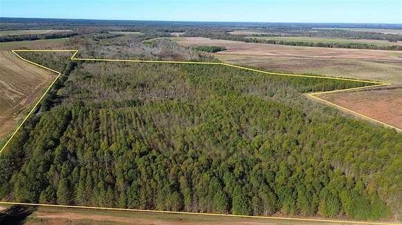 88.7 Acres of Recreational Land & Farm for Sale in Pine Bluff, Arkansas