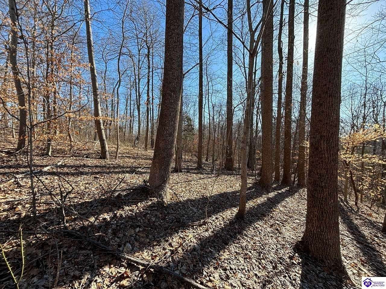 14.7 Acres of Recreational Land for Sale in Webster, Kentucky