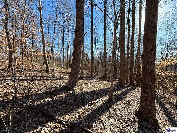 14.7 Acres of Recreational Land for Sale in Webster, Kentucky
