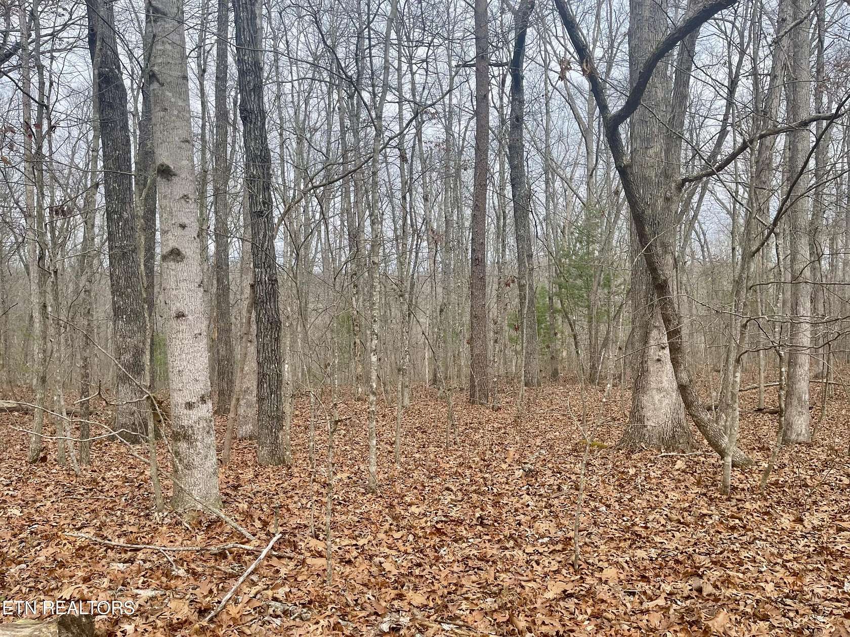 0.21 Acres of Land for Sale in Crossville, Tennessee