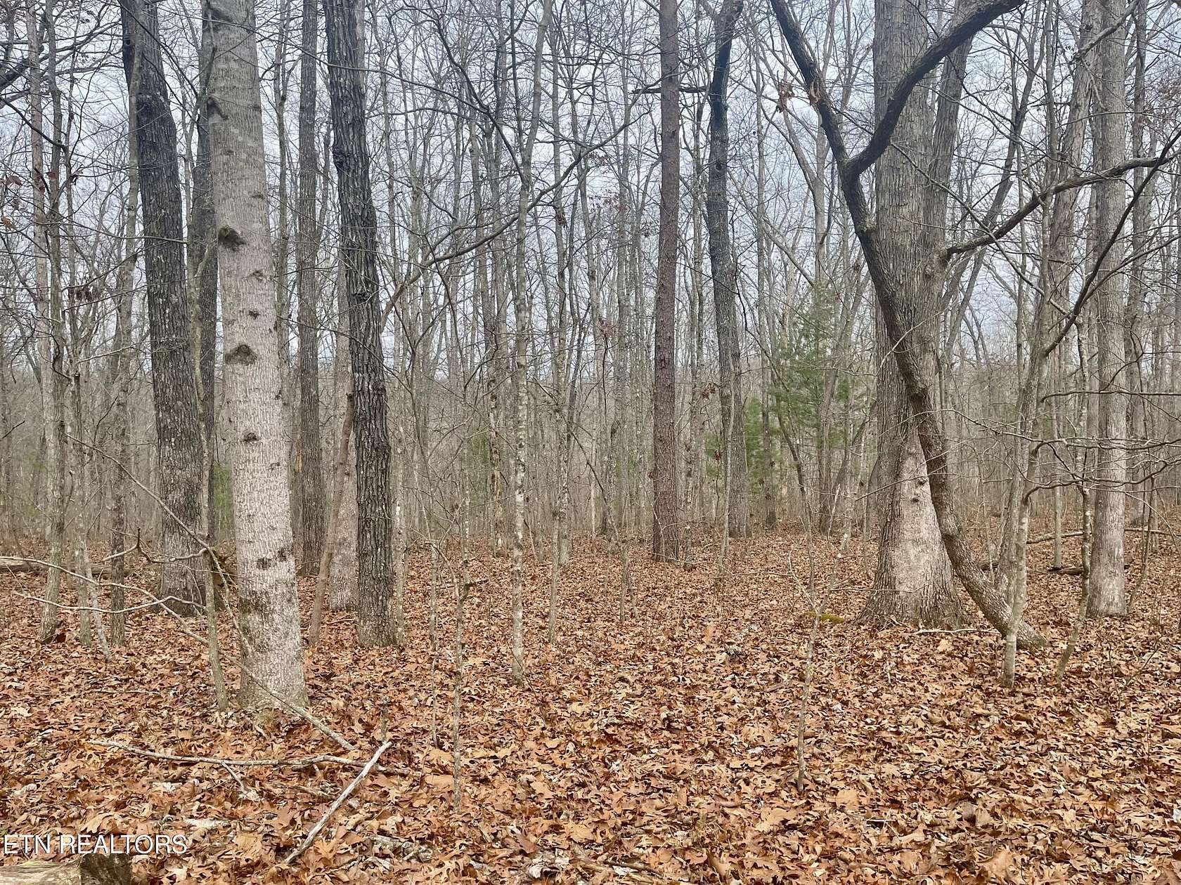 0.21 Acres of Residential Land for Sale in Crossville, Tennessee