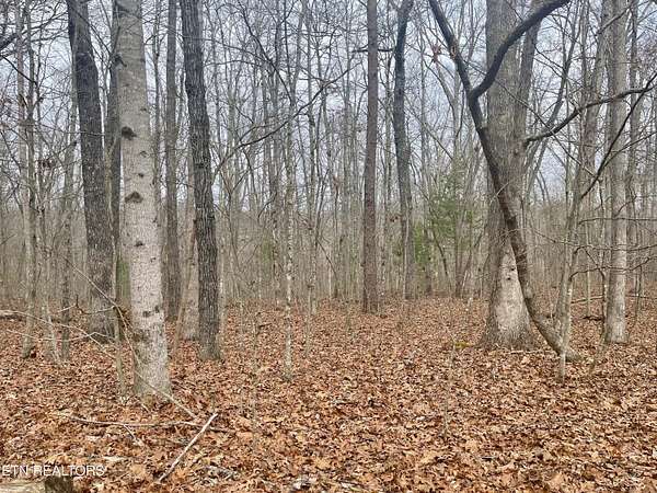 0.21 Acres of Residential Land for Sale in Crossville, Tennessee