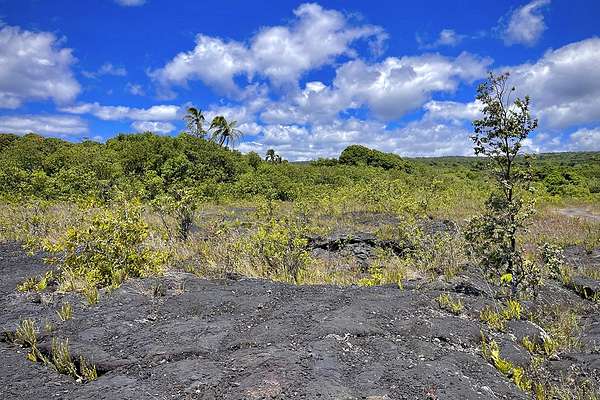 6.33 Acres of Land for Sale in Pahoa, Hawaii