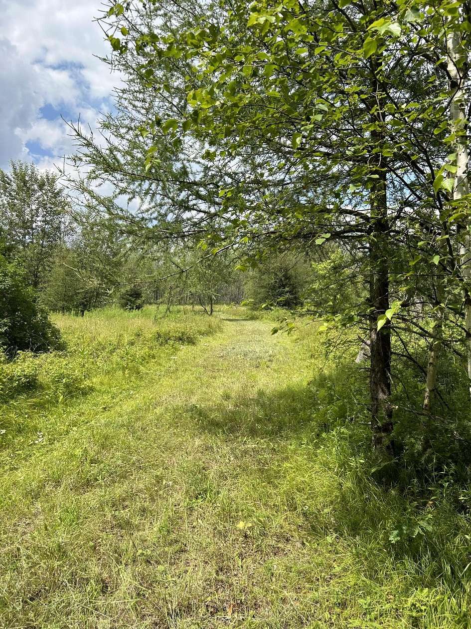 6.5 Acres of Residential Land for Sale in Laona, Wisconsin