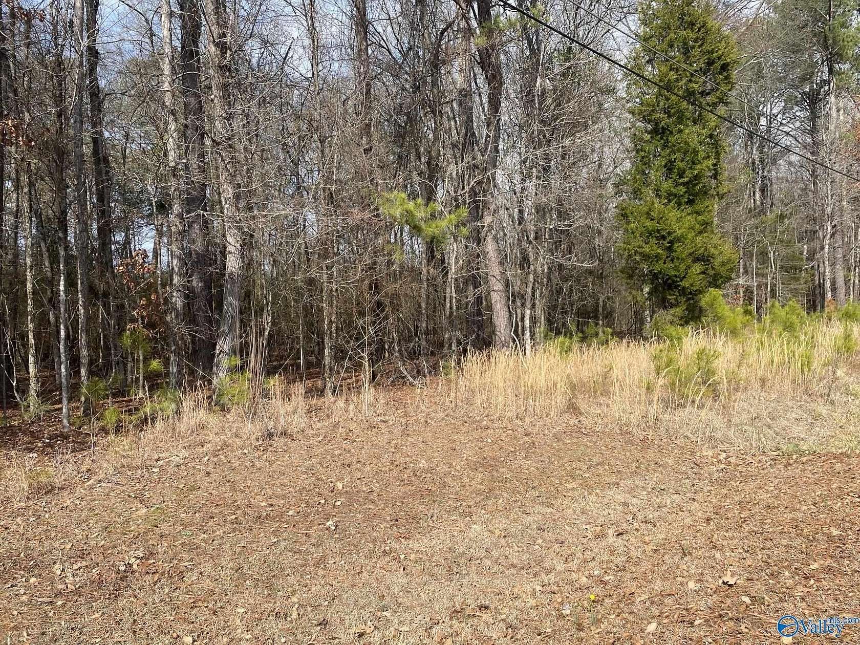 0.47 Acres of Land for Sale in Rainbow City, Alabama